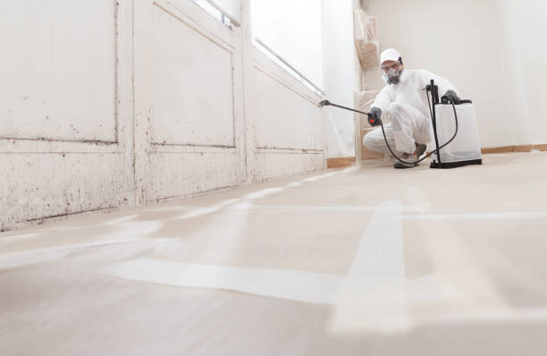 24/7 Emergency Basement Mold Remediation experts in Florence, NJ